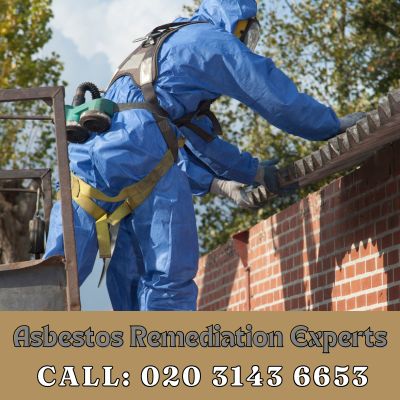 Asbestos Remediation Experts Waltham Abbey