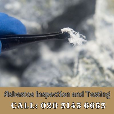 Comprehensive Asbestos Inspection and Testing Services in Waltham Abbey